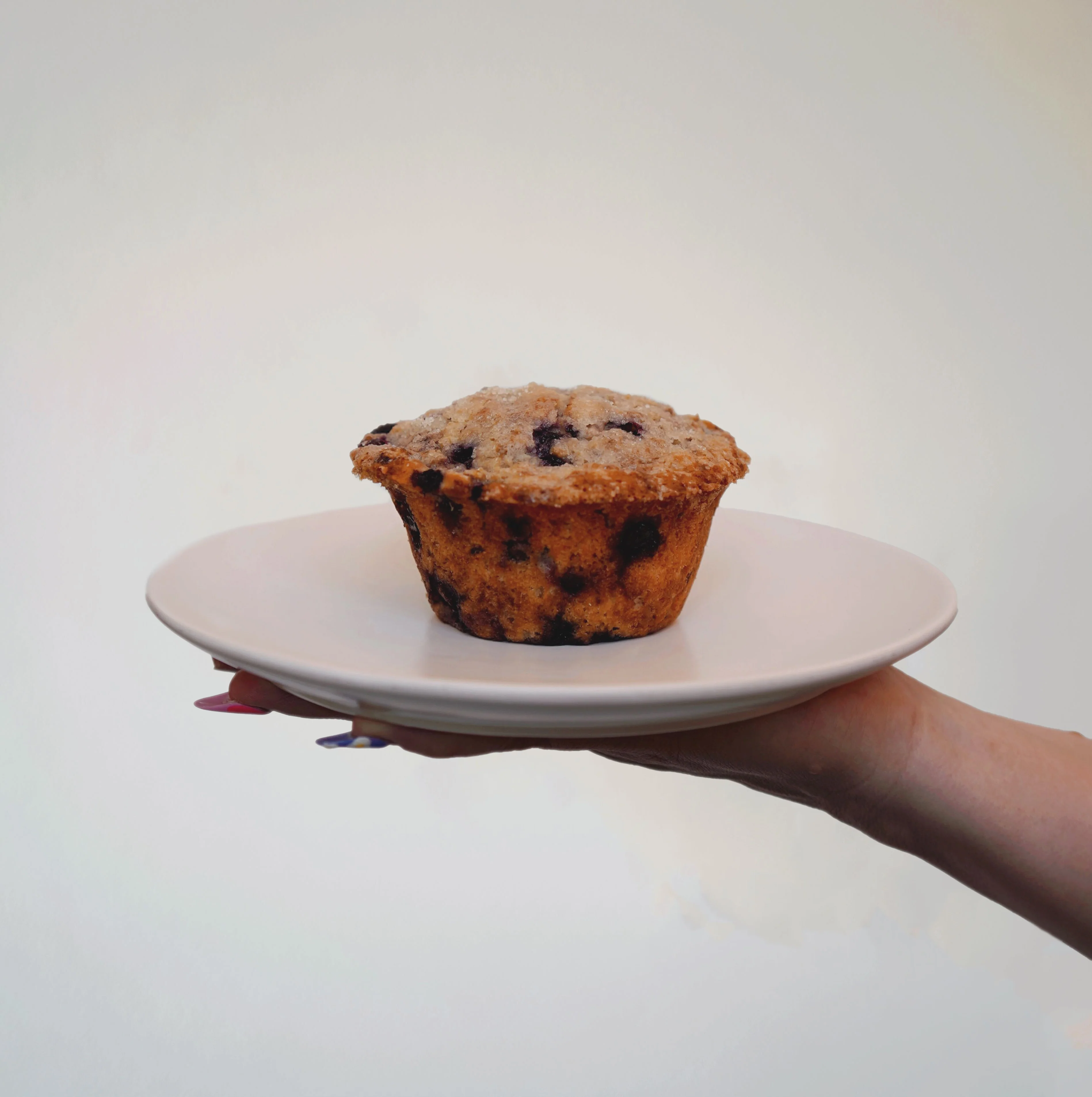 Blueberry Muffin