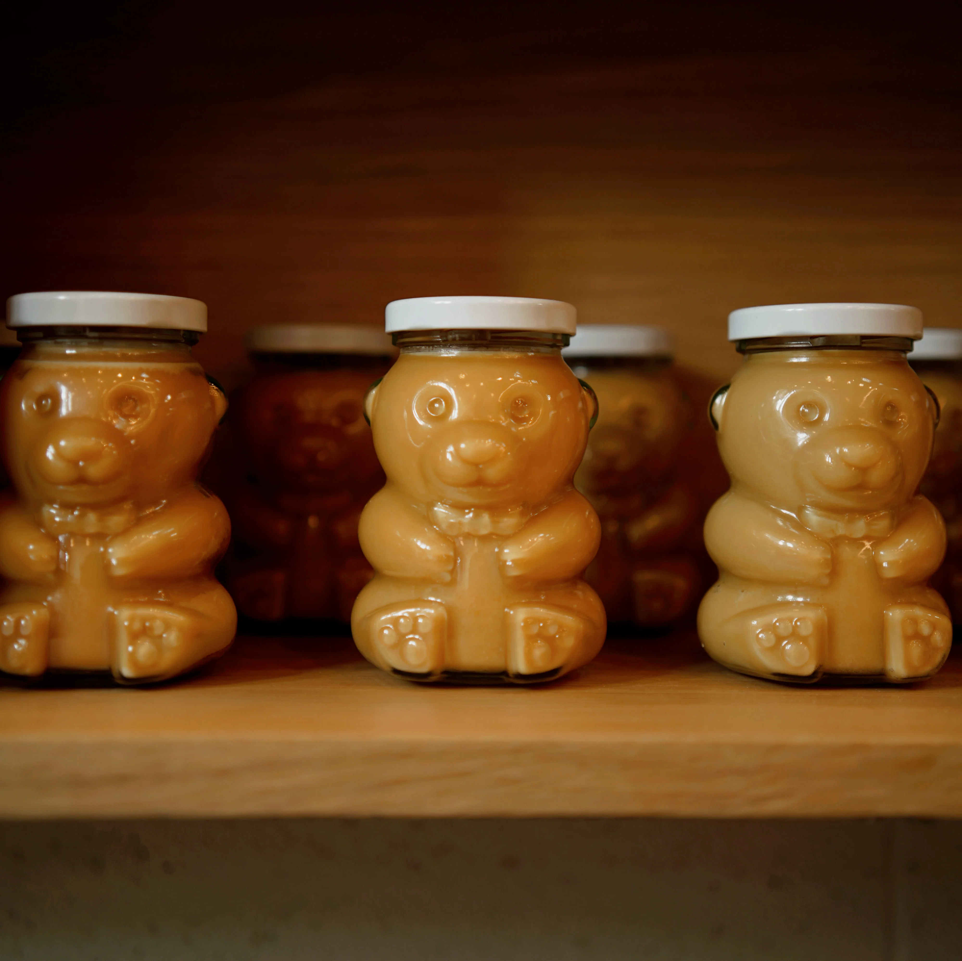 Elegy Honey Bear Shaped Candle (8oz)