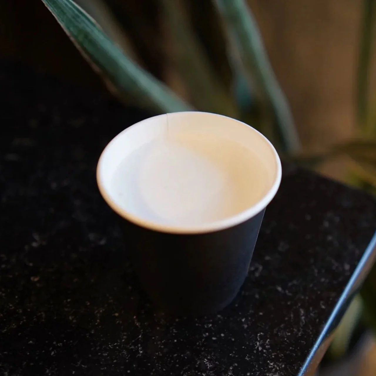 Vanilla Steamer (8oz Hot)